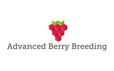 Advanced Berry Breeding: Bred for Quality, Grown for Success